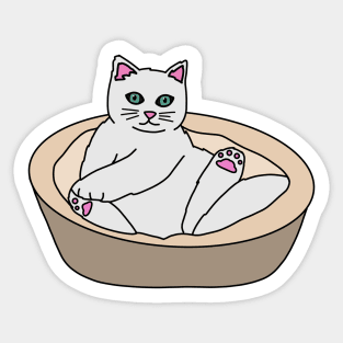 Cute Cat Sticker